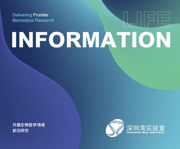 上海logo設(shè)計師分享90年代經(jīng)典標志設(shè)計案例與時代美學解析